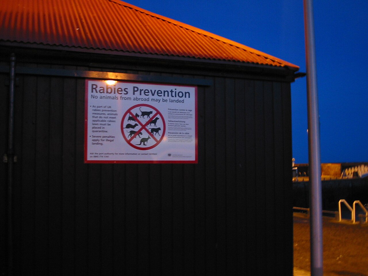 Rabies