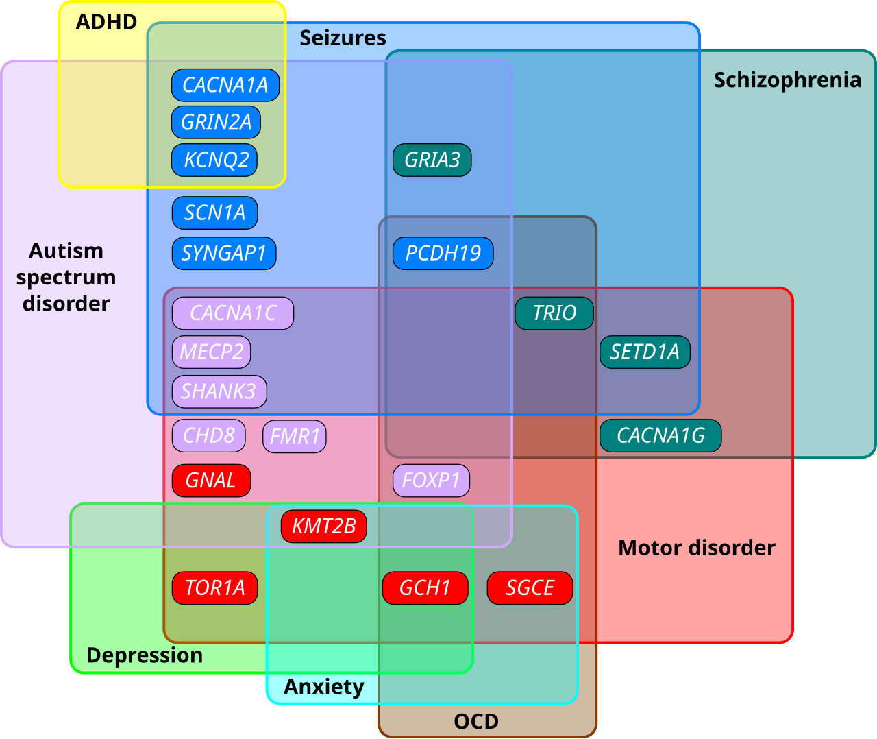 Schizophrenia
